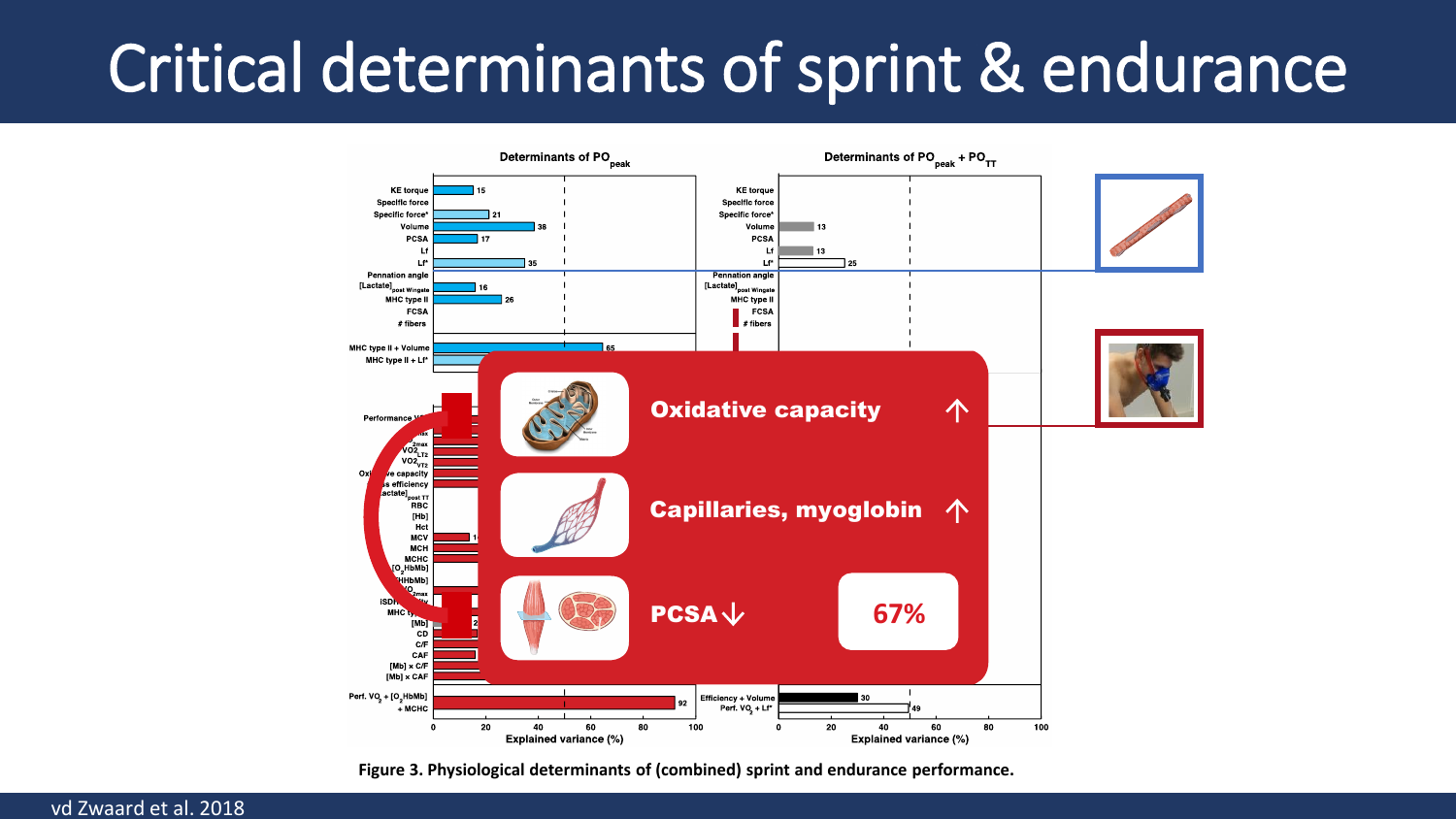 Original study-result slide: determinants of combined performance